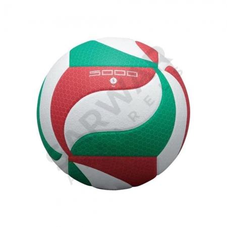 Volley Ball